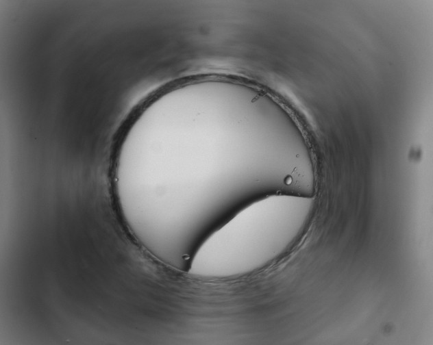 X0000103411312200809120938