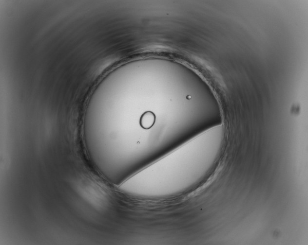 X0000103411313200809120938