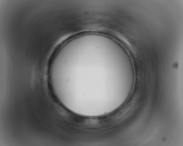 X0000103411315200809120939