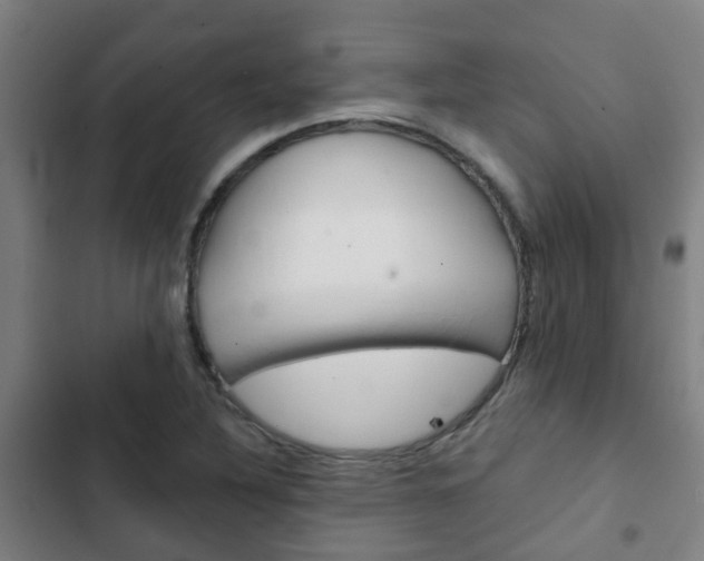 X0000103411316200809120939