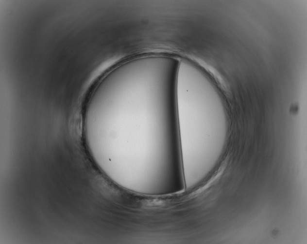 X0000103411317200809120939