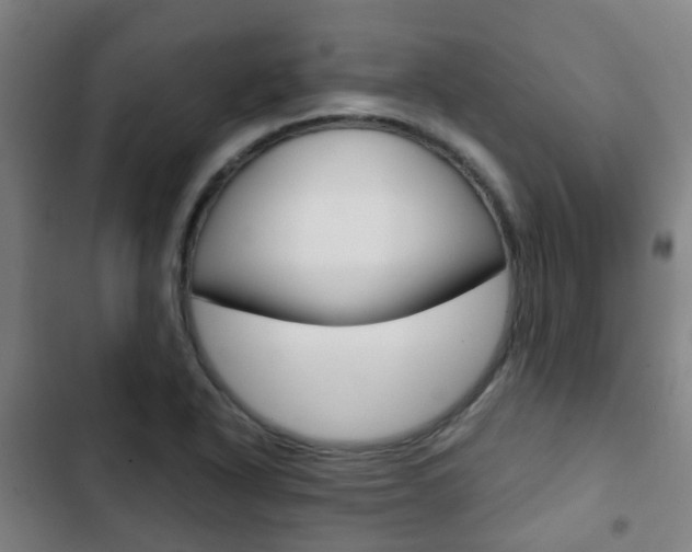 X0000103411318200809120939