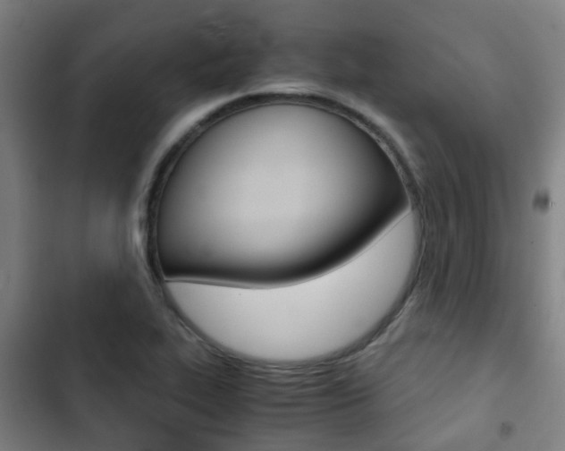 X0000103411319200809120939
