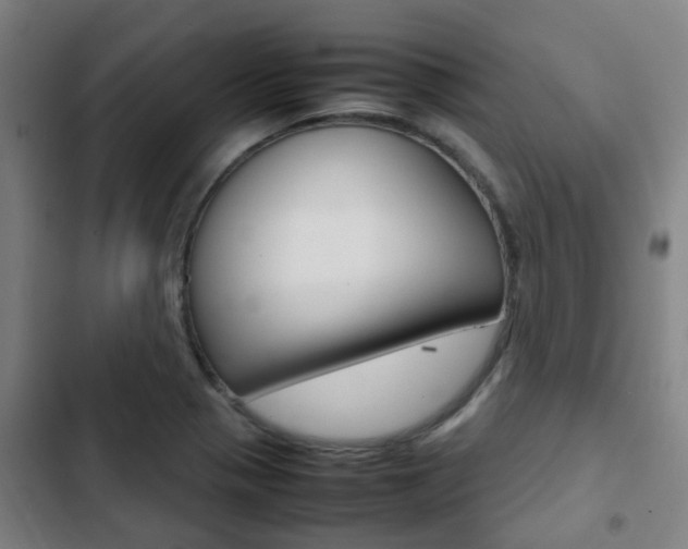 X0000103411321200809120939