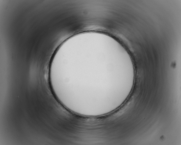 X0000103411322200809120939