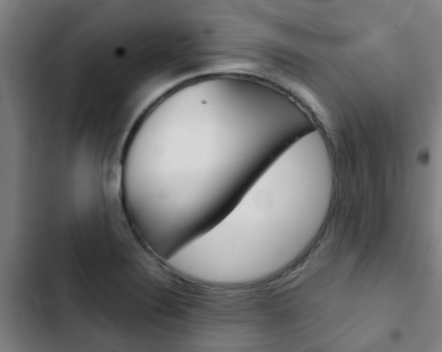 X0000103411324200809120939