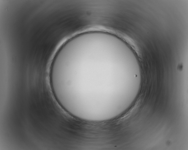 X0000103411326200809120939