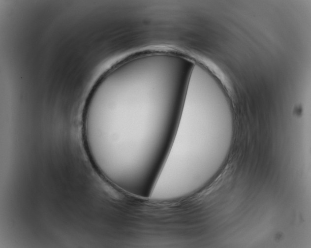 X0000103411327200809120939
