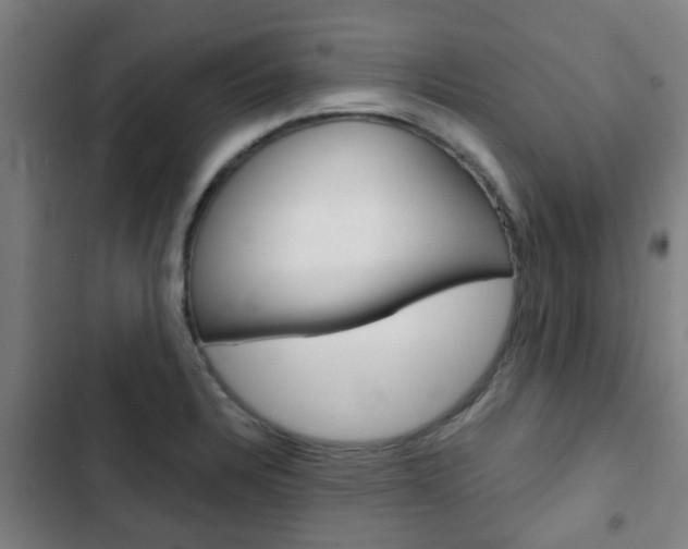 X0000103411328200809120939