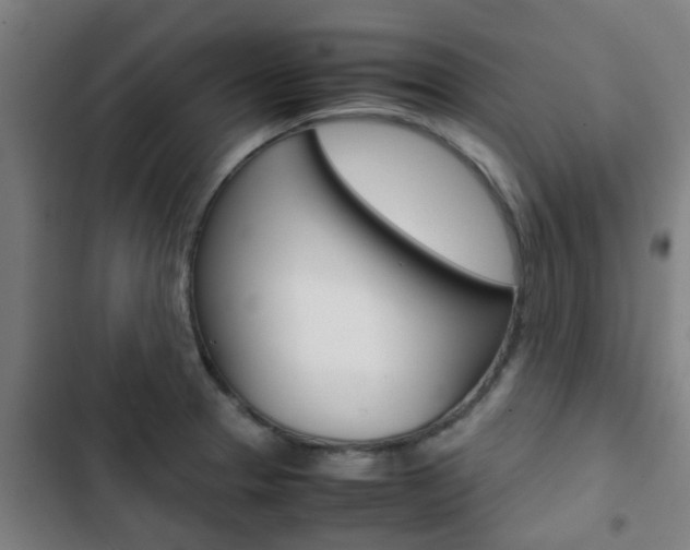 X0000103411329200809120939