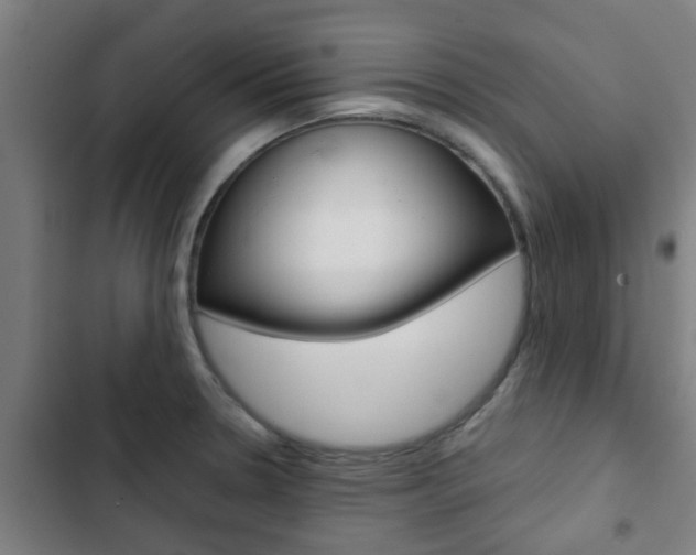 X0000103411330200809120939