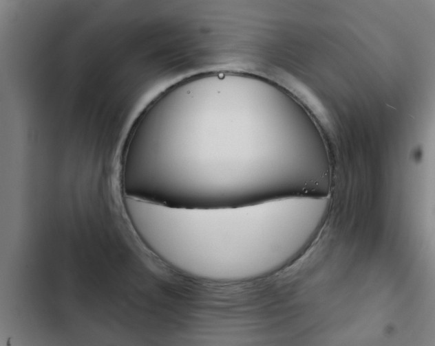 X0000103411332200809120939