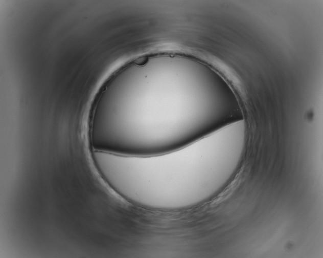 X0000103411334200809120939