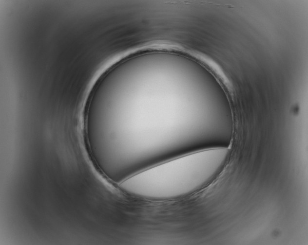 X0000103411335200809120939