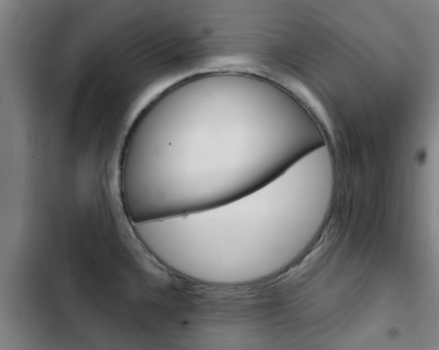 X0000103411336200809120939