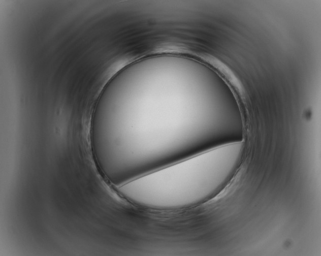 X0000103411337200809120939