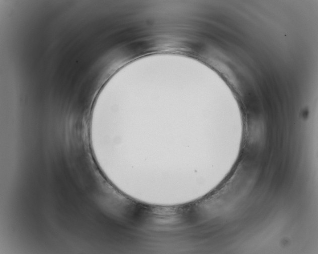 X0000103411338200809120939