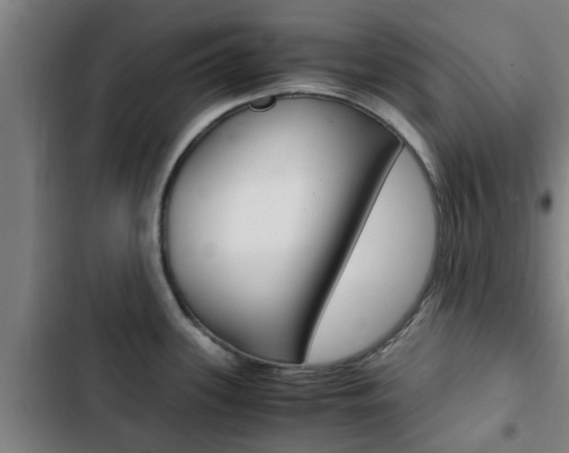 X0000103411339200809120939