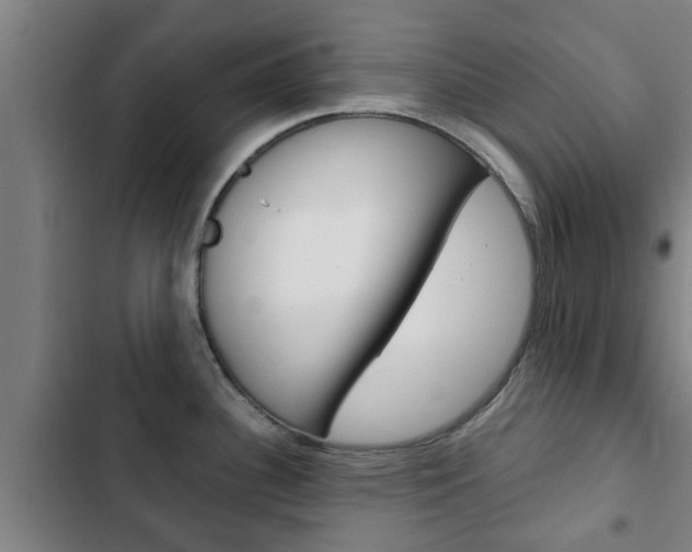 X0000103411340200809120939