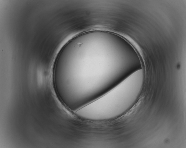 X0000103411341200809120939