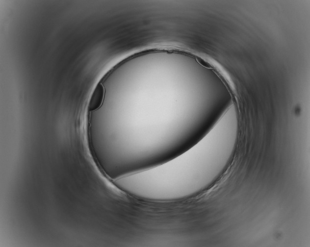 X0000103411343200809120939