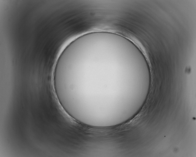X0000103411344200809120939