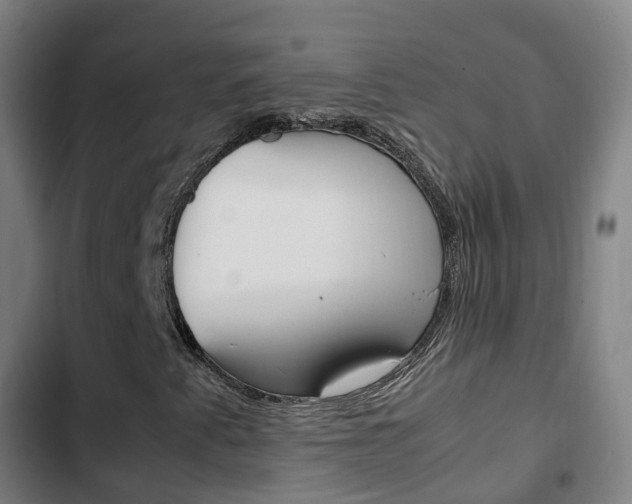X0000103411345200809120938