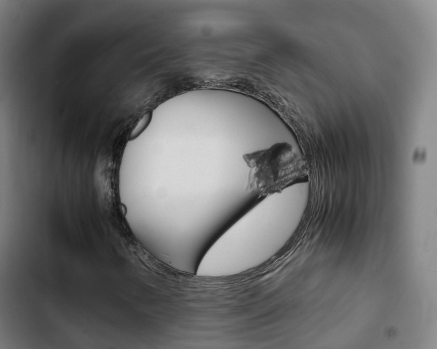 X0000103411346200809120938