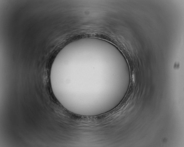 X0000103411347200809120938