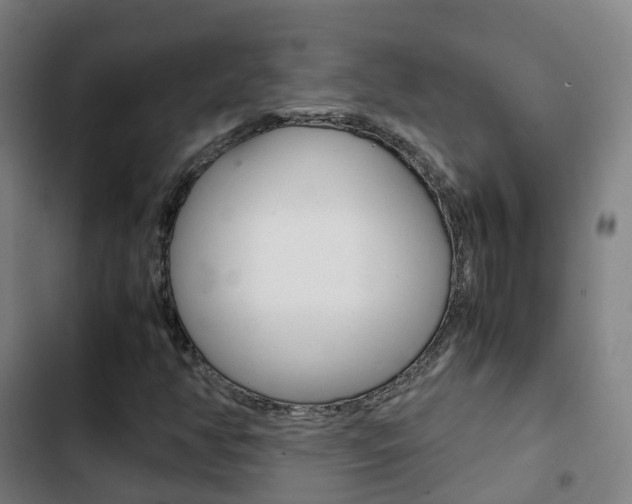 X0000103411350200809120938