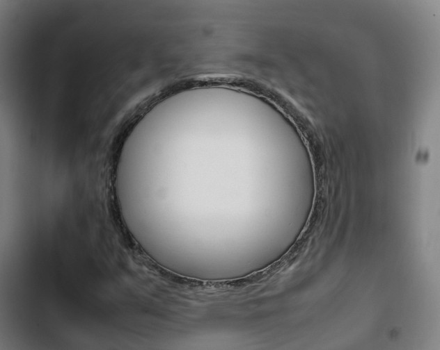 X0000103411351200809120938