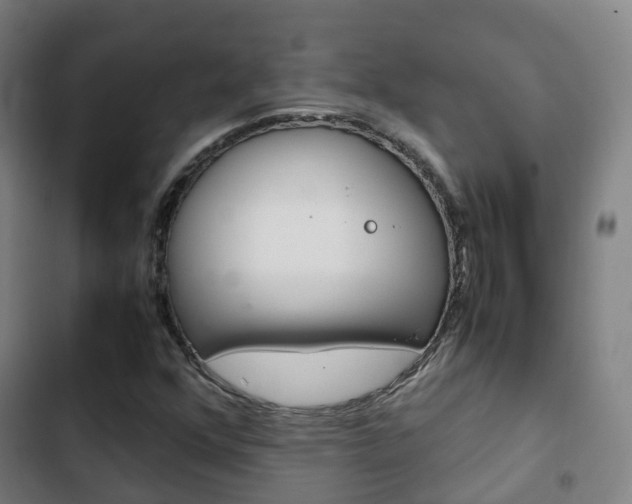 X0000103411352200809120938