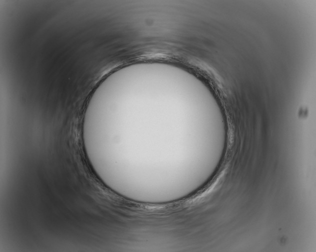 X0000103411353200809120938