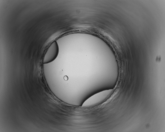 X0000103411354200809120938