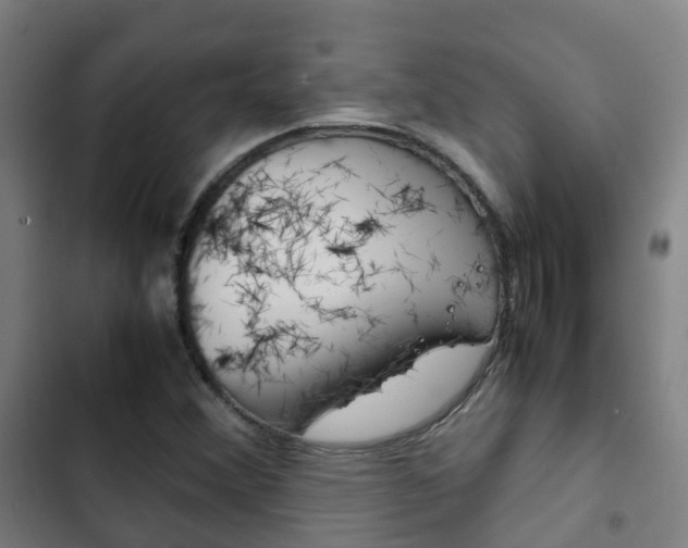 X0000103411356200809120938