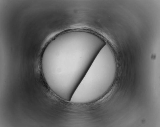 X0000103411358200809120938