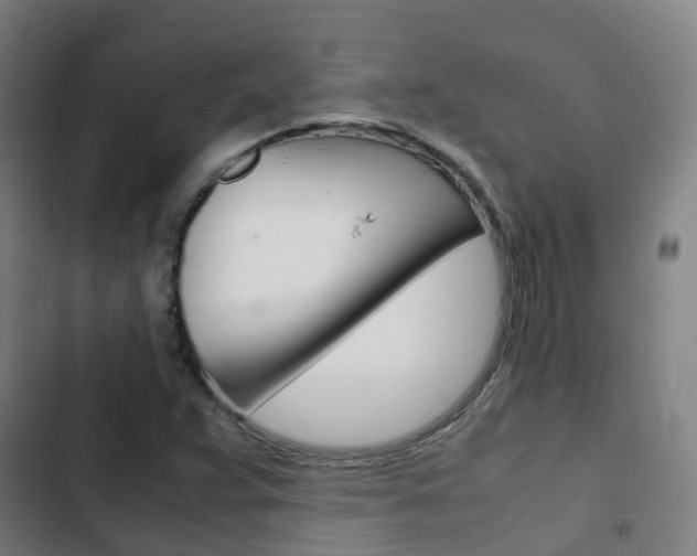 X0000103411359200809120938