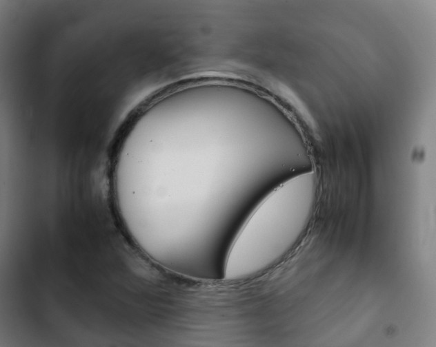 X0000103411360200809120938