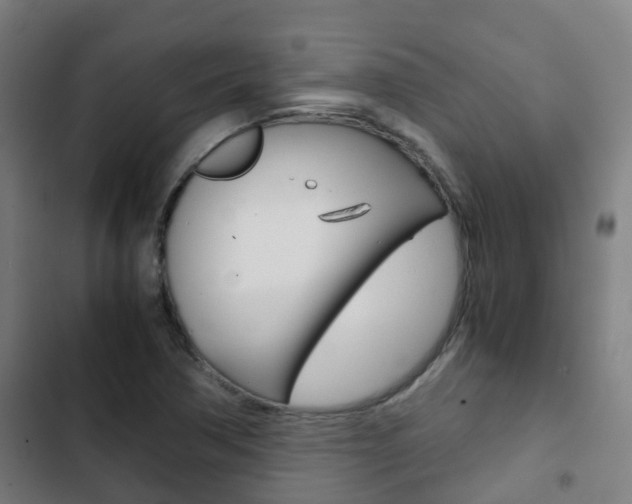 X0000103411362200809120938