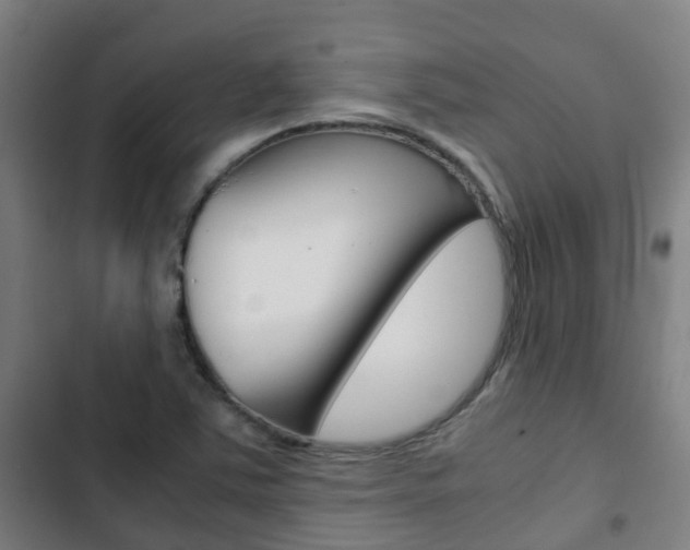 X0000103411363200809120938