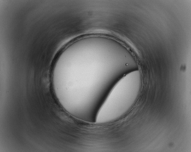 X0000103411364200809120938
