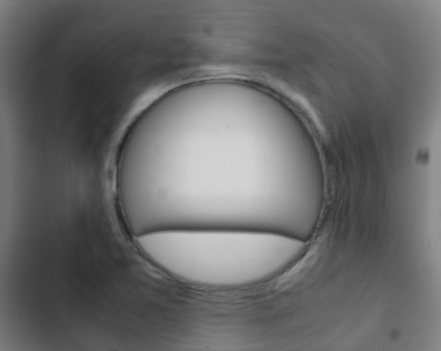 X0000103411365200809120938