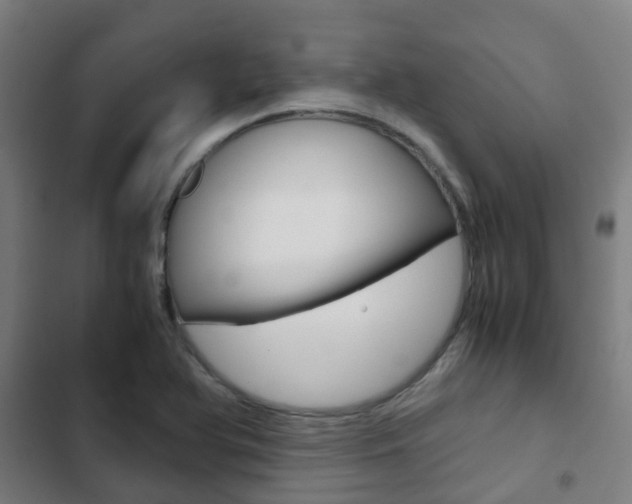 X0000103411366200809120938