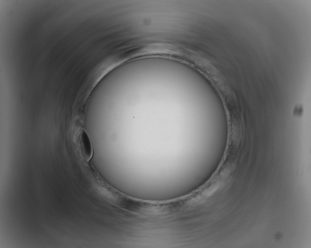 X0000103411369200809120938