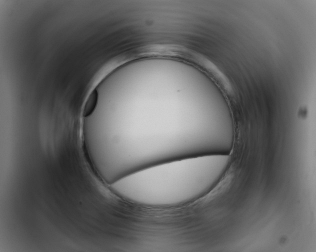 X0000103411370200809120938