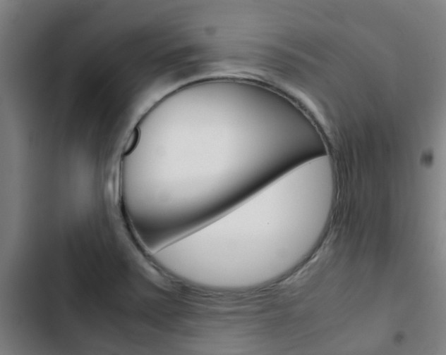 X0000103411371200809120938