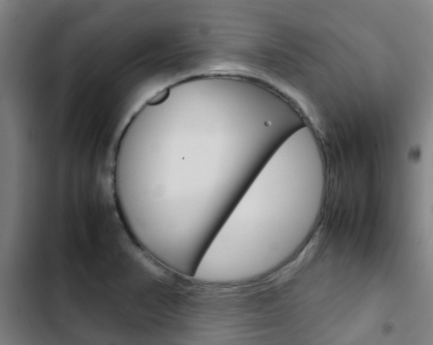 X0000103411374200809120938