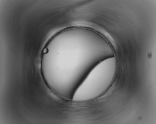 X0000103411376200809120938