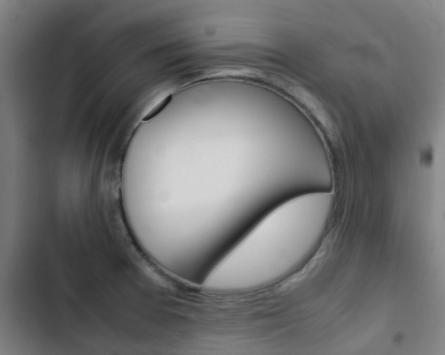 X0000103411377200809120938