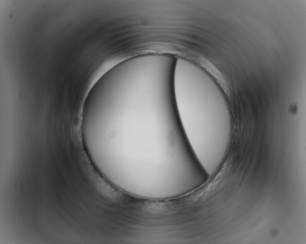 X0000103411378200809120938